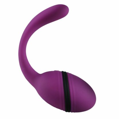 Adrien Lastic - Smart Dream Clit & G-Spot Vibrator - Bild 3