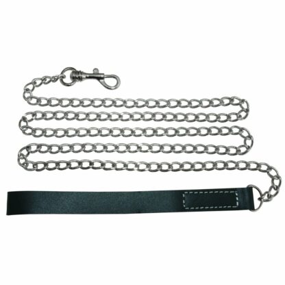 Sportsheets - Edge Chain Leash - Bild 3