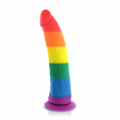 Pride Dildo - Silicone Rainbow Dildo