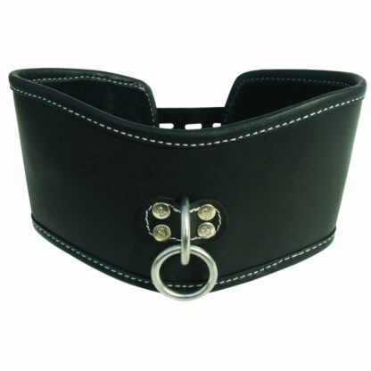 Sportsheets - Edge Soft Leather Posture Collar - Bild 3